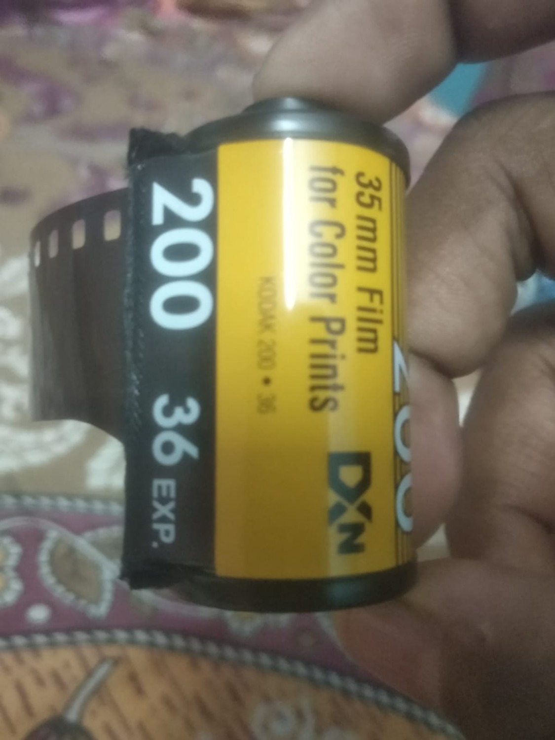 Buy Kodak ColorPlus 200 Color Negative Film (35mm Roll Film, 36